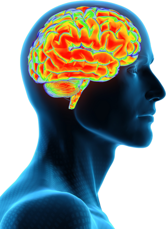 Neurociência Política